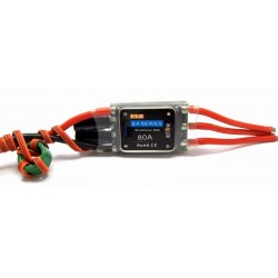 ELE EA-80 HV Support 3-10 cells Lipo
