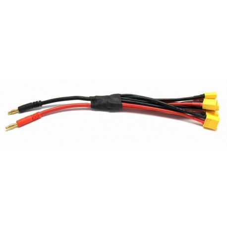 4mm Banana plug to 6 x Male XT60 in parallel