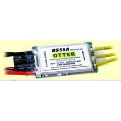 Telebe Otter 55A 3-6S Brushless ESC without BEC (w/Governor)