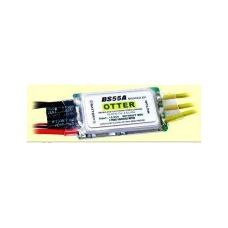 Telebe Otter 55A 3-6S Brushless ESC without BEC (w/Governor)
