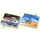 ALIGN 2011 FUN FLY DVD HOD00001