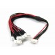 JST-XH Parallel Balance Lead 4Sx6 - 250mm