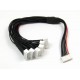 JST-XH Parallel Balance Lead 5Sx6 - 250mm