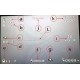 OSD Module Display GPS Flight Speed Location For Cheerson CX-20 