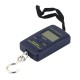 Portable Hanging Electronic Hook Scale (20KG Max / 10g)