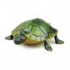 Infrared Electric RC Tortoise Simulation Remote Control Turtle 