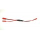 JST Male and 2 JST Female Parallel Y-Harness 20CM