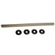 O Ring/Rubber - Honey Bee CP2