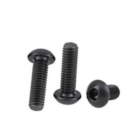 10pcs M5x10 mm M5 screw yuan cup Half round pan head black