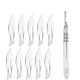 10pcs Carbon Steel Surgical Scalpel Blades & 1pc Handle
