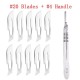 10pcs Carbon Steel Surgical Scalpel Blades & 1pc Handle
