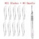 10pcs Carbon Steel Surgical Scalpel Blades & 1pc Handle