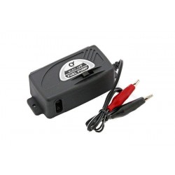 Q Model: Electrical fuel pump 12V