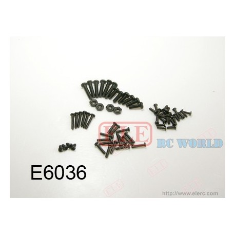 E6036 Screws pack
