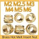 M2 M2.5 M3 M4 M5 M6 Brass Hot Melt Insert Knurled Nut Thread Heat Molding