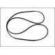 Tail Belt