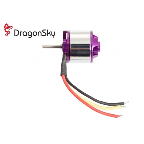 Dragonsky (MO-2800-01) 2800 KV Brushless Motor