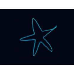 Align Cold Light String (1.5M) - Blue