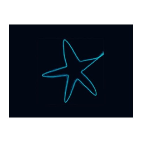 Align Cold Light String (1.5M) - Blue