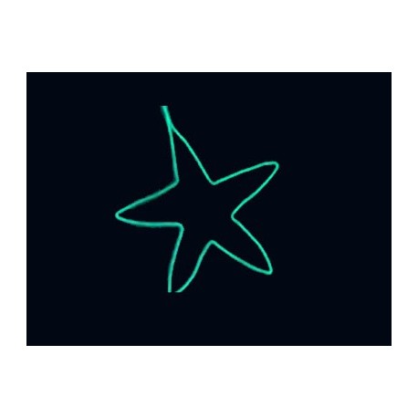 Align Cold Light String (1.5M) - Highlight Green