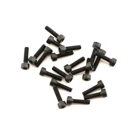 THUNDER TIGER M2.6 X 10 SOCKET SCREW - RAPTOR