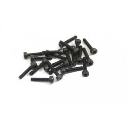 SOCKET SCREW - M2x14 (20pcs) - TT E325