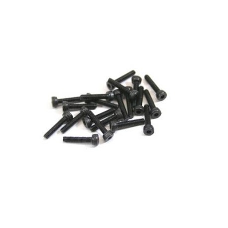 SOCKET SCREW - M2x14 (20pcs) - TT E325