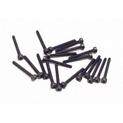 SOCKET SCREW(20), M2?16