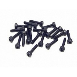 SOCKET SCREW(20), M2?8