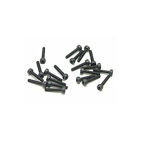 SOCKET SCREW(20), M2?10