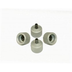 Replacement Canopy Screws - SILVER