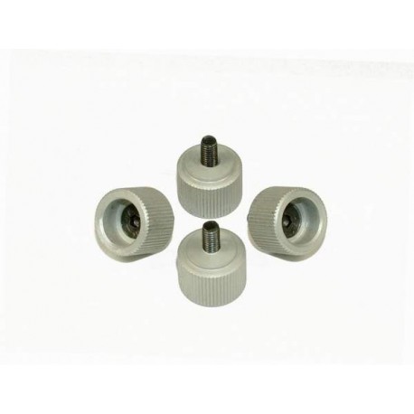 Replacement Canopy Screws - SILVER