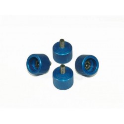 M3 Canopy Mounting Screws - BLUE