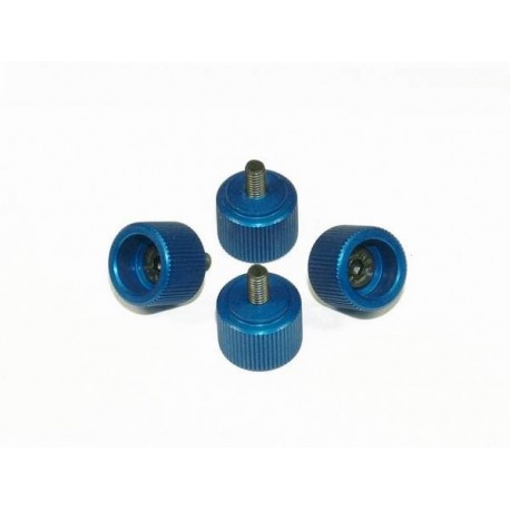 M3 Canopy Mounting Screws - BLUE