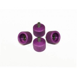 M3 Canopy Mounting Screws - PURPLE