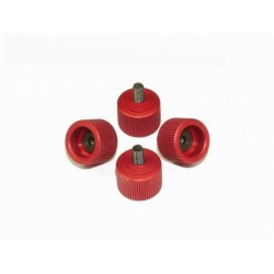 M3 Canopy Mounting Screws - RED