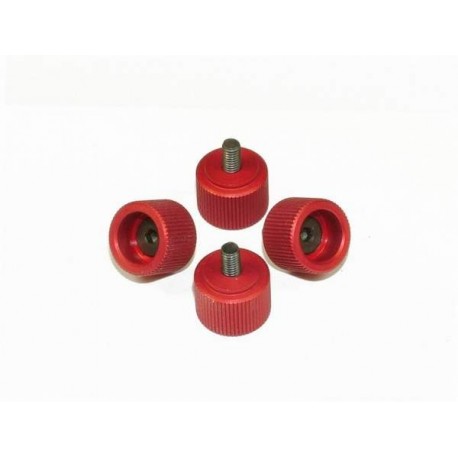 M3 Canopy Mounting Screws - RED