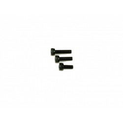 M2.5 x 6 Socket Cap (10)