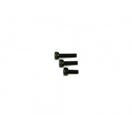M2.5 x 6 Socket Cap (10)