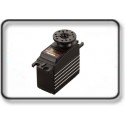 LARGE SERVOS